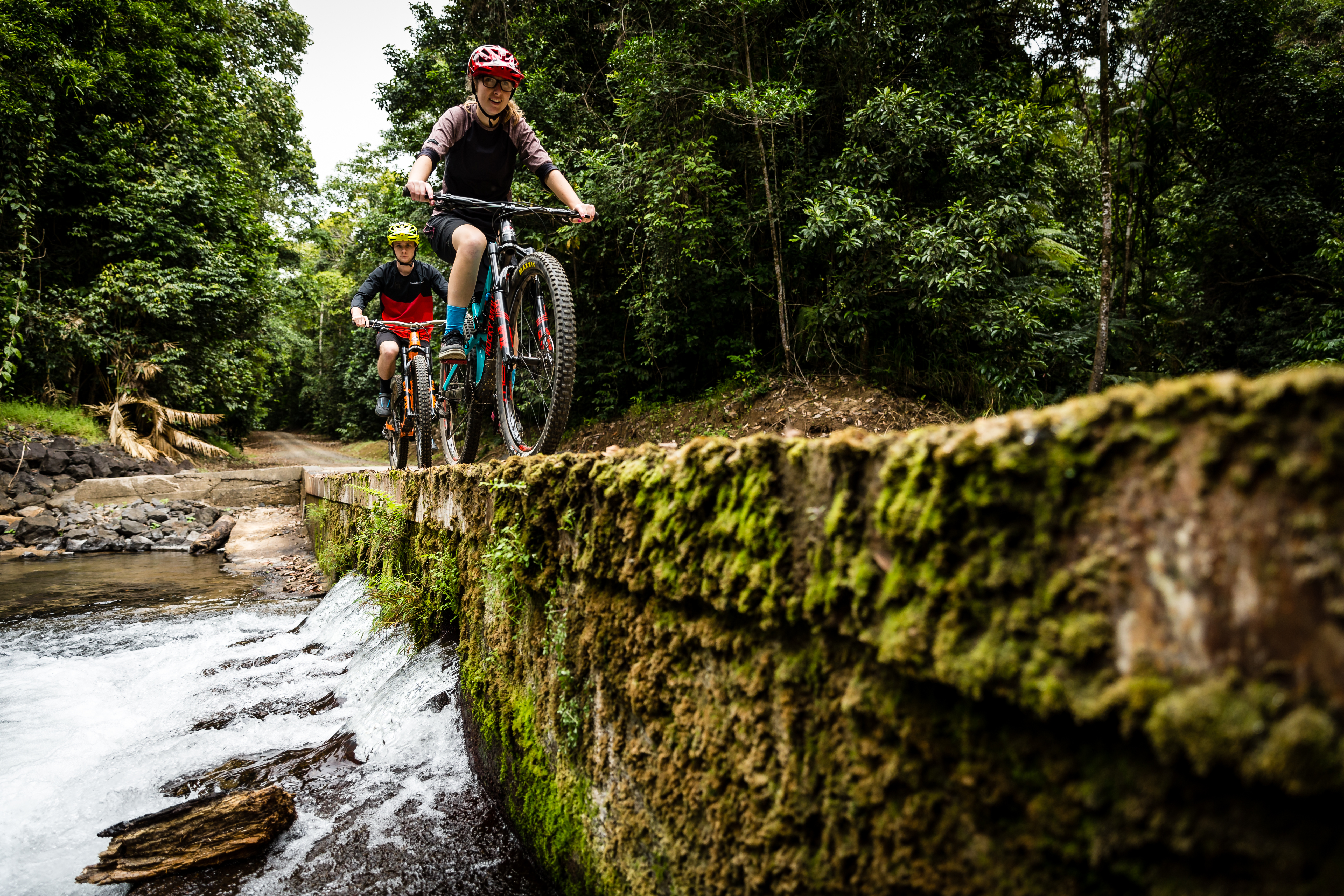 Bike riders explore rainforest