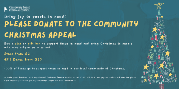 christmas appeal
