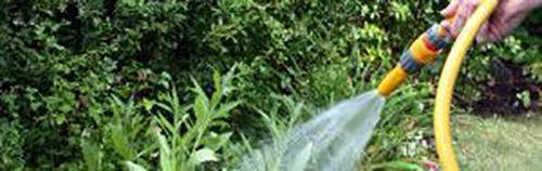 Garden watering rz