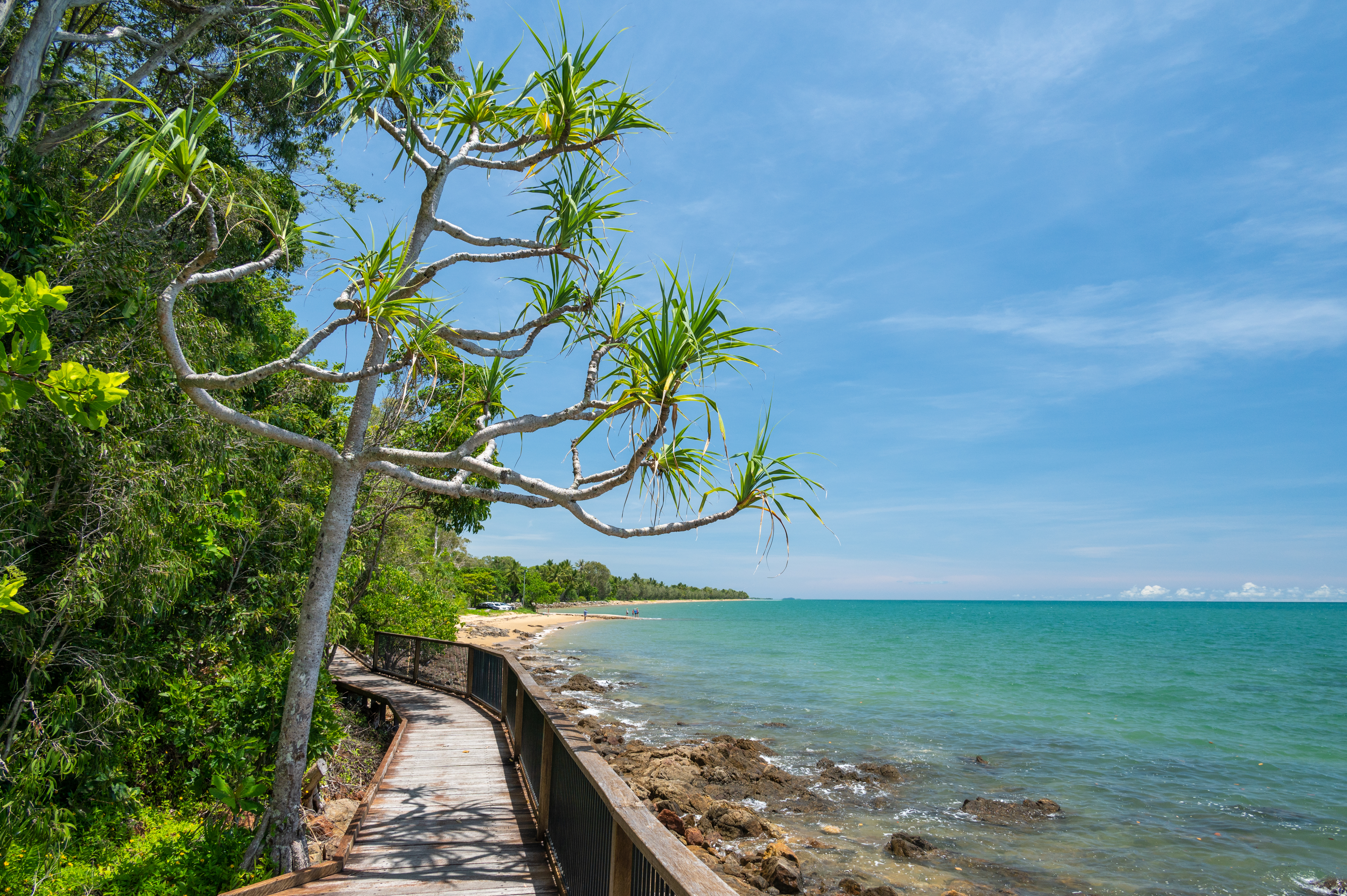 Kennedy walking track 7