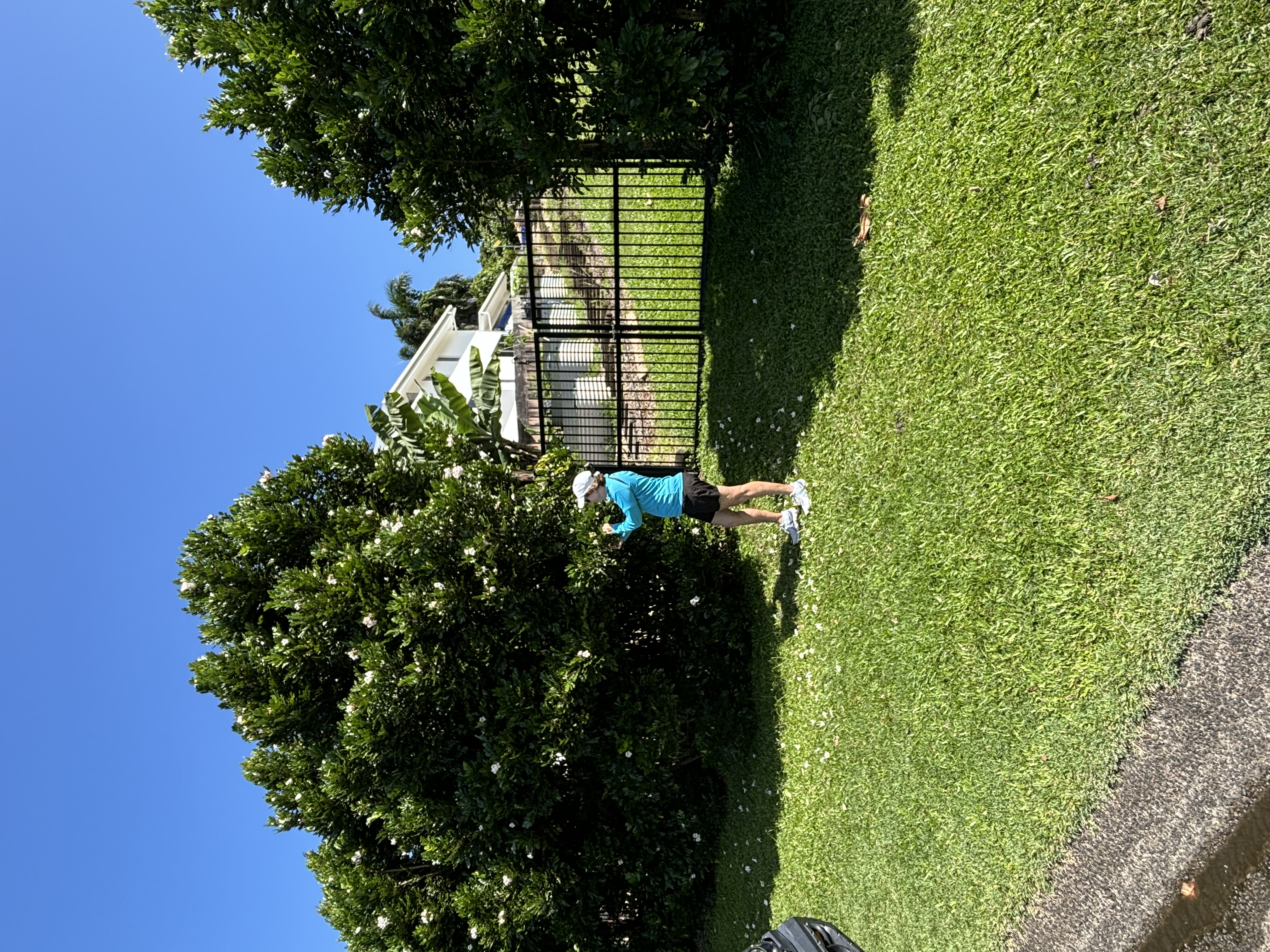 Local resident maintaining ideal verge at Mission Beach.
