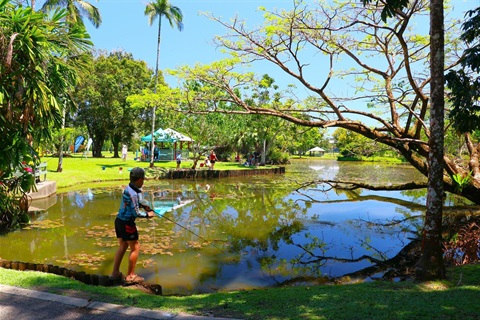 Tilapia.jpg