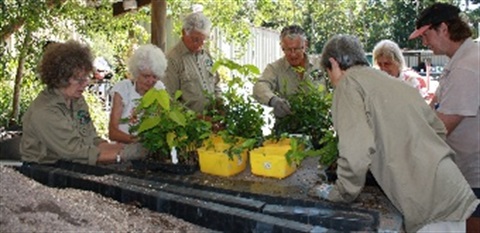 Nursery workers