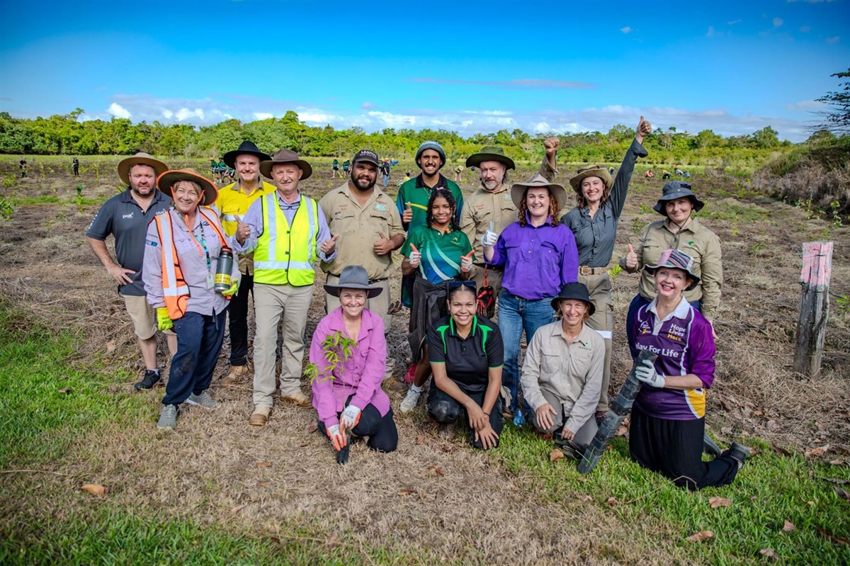 Organisational Structure | Cassowary Coast Regional Council