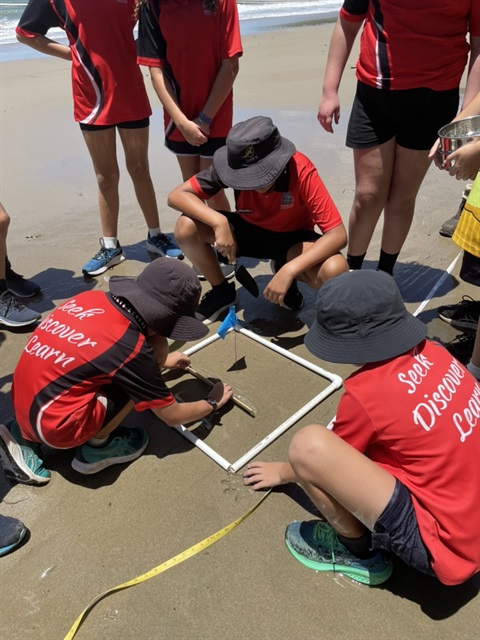 Mouilyan SS beach warriors.jpeg