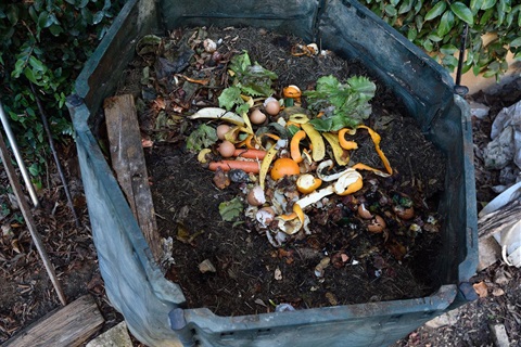 Composting image 